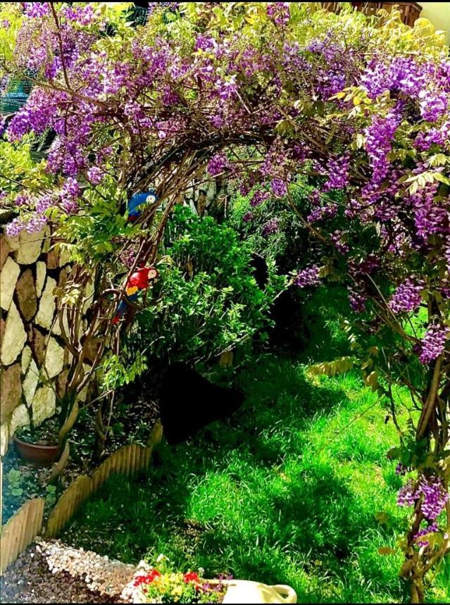 Bella Vista Διαμέρισμα Canal San Bovo Εξωτερικό φωτογραφία
