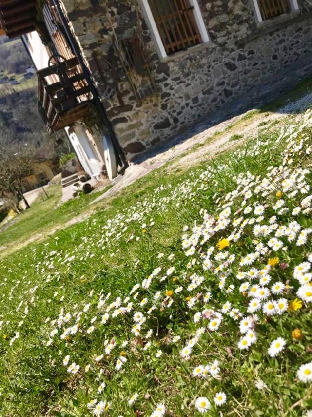 Bella Vista Διαμέρισμα Canal San Bovo Εξωτερικό φωτογραφία