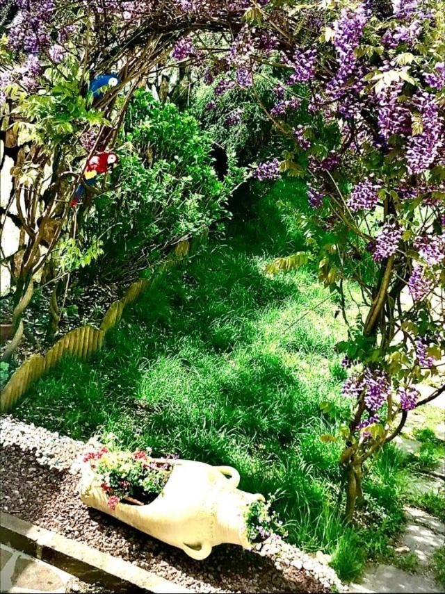 Bella Vista Διαμέρισμα Canal San Bovo Εξωτερικό φωτογραφία