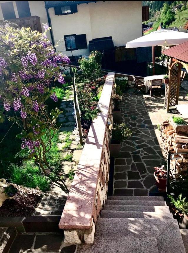 Bella Vista Διαμέρισμα Canal San Bovo Εξωτερικό φωτογραφία